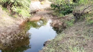 Indian Pooja Shemale and Collage Masterji Coming Forest, Nearest Water Park Area Desi Hard Fucking Hindi Voice